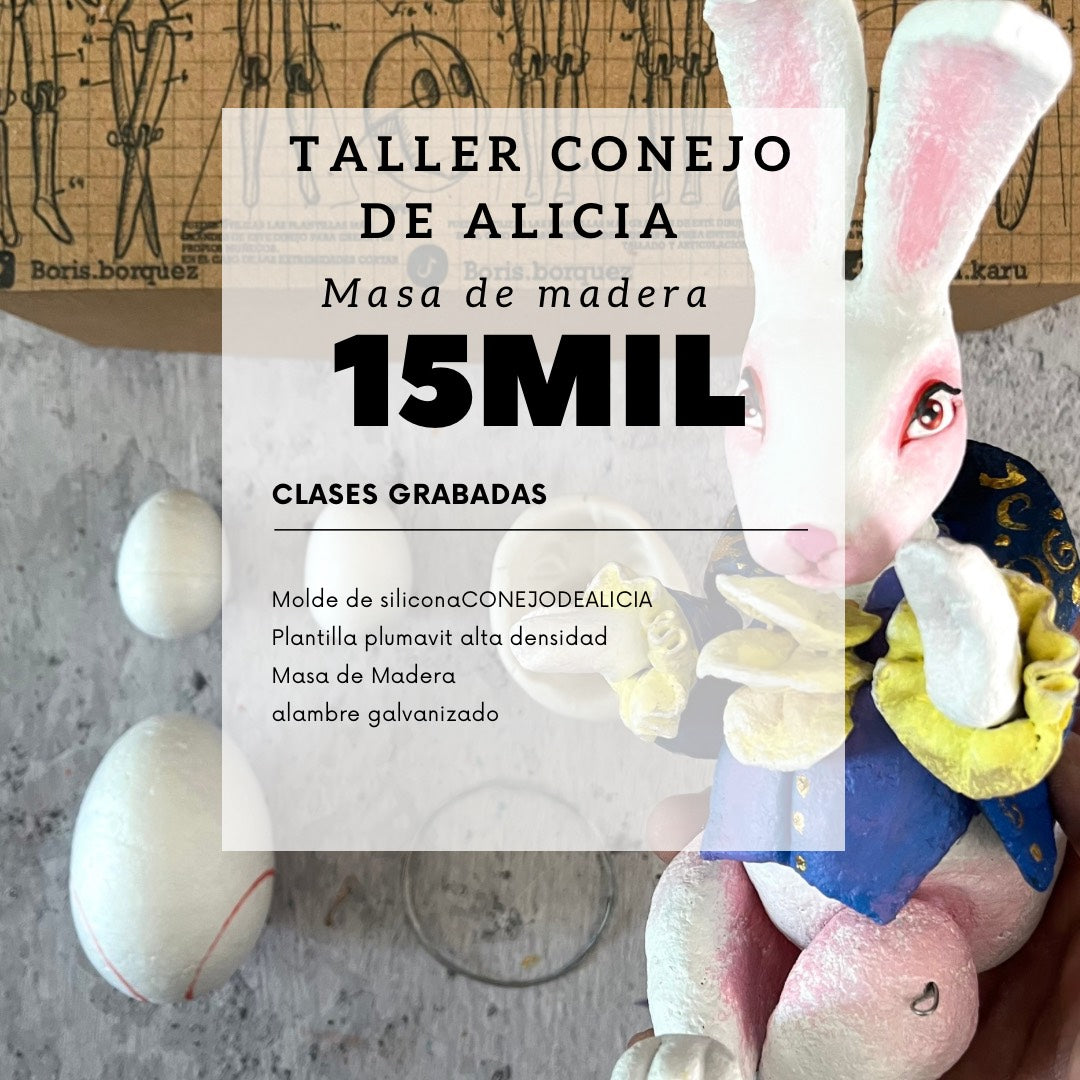 Taller Conejo Alicia