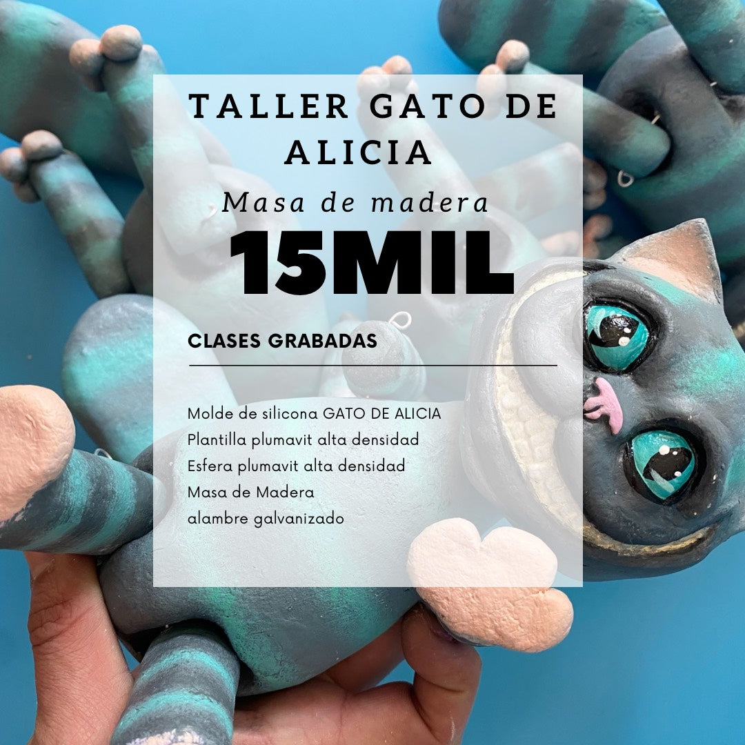 Taller Gato De Alicia